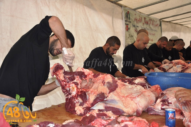 ada7y mashrot3 (5).JPG